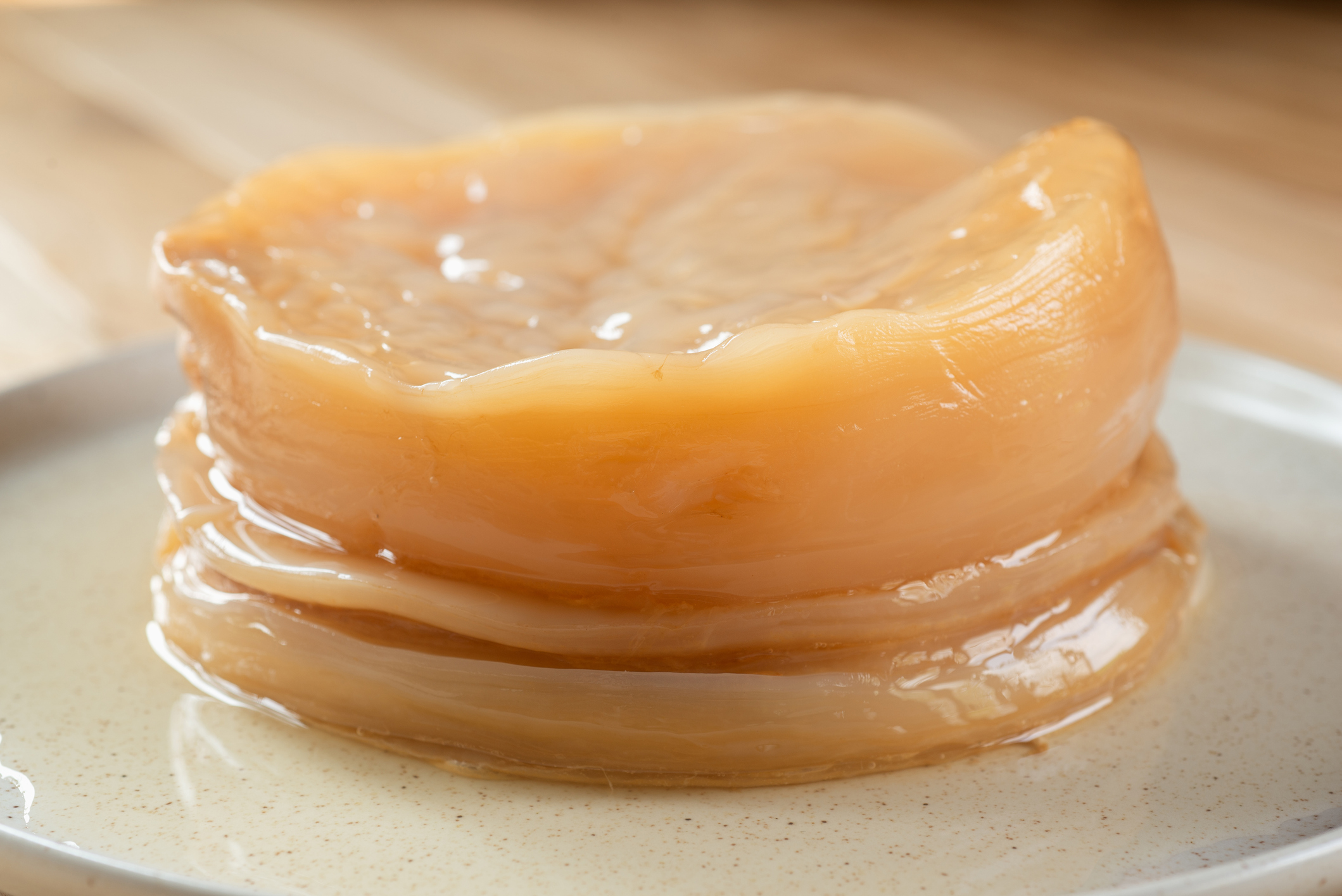 scoby, čajová huba